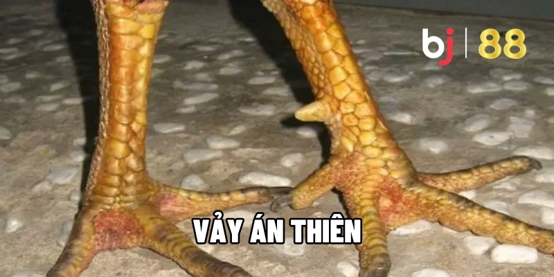 Vảy án thiên